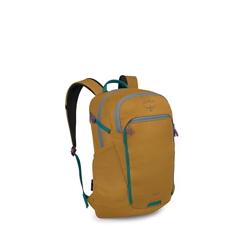 Osprey Axis 24-Liter Laptop Backpack