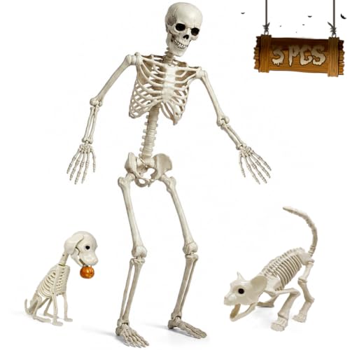 5.4FT Life Size Skeleton with Cat & Dog Halloween Decor Deal