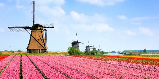 10-Day Holland & Belgium Springtime River Cruise