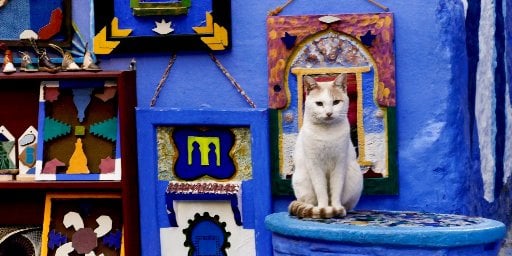 Morocco 11-Day Escorted Trip with Flights
