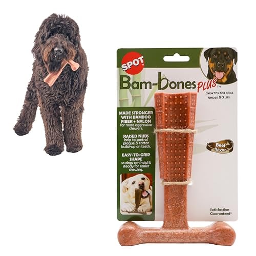 SPOT Bam-Bones Plus T-Bone Dog Chew, Beef, 7in Deal
