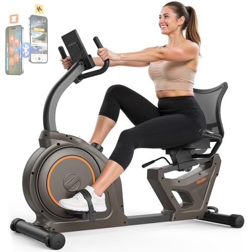 Niceday Recumbent Exercise Bike Deal