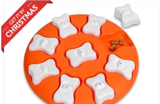 Outward Hound by Nina Ottosson Dog Smart Treat Puzzle Enrichment Toy (Level 1 Beginner)