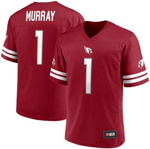 NFL Men's Player Jersey (Various) Deal