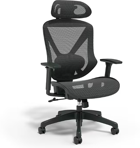 Staples Dexley Ergonomic Mesh Swivel Task Chair Deal