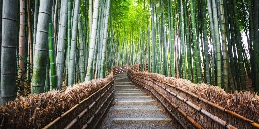 Tokyo, Kyoto & Osaka 9-Night Trip with Air & Transfers Deal