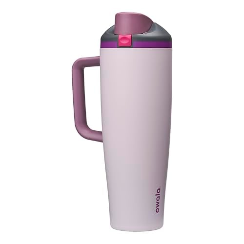 Owala FreeSip Tumbler Stainless Steel Water Bottle 40 oz Dreamy Field
