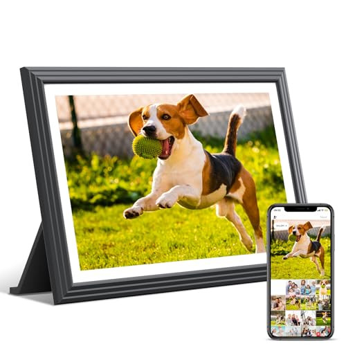 TOLOVE Digital Picture Frame 10.1 Inch 16G WiFi