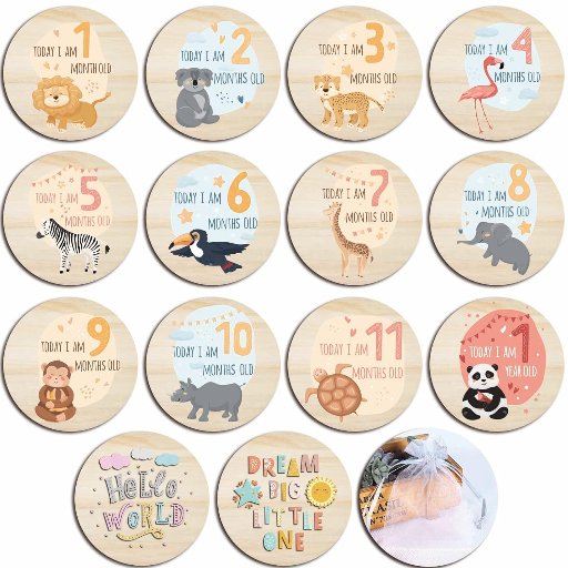 Baby Monthly Milestone Cards