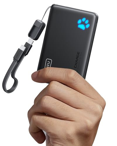 INIU 10000mAh Portable Charger