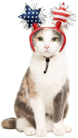 Vibrant Life 4th of July Stars Pet Headband XS/S Deal