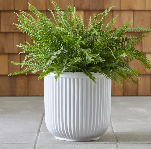 Better Homes & Gardens 16" Ellan White Resin Plant Pot Planter