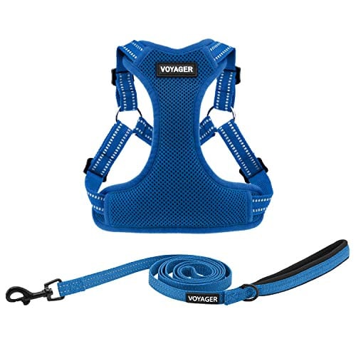 Best Pet Supplies Voyager Adjustable Step-in Flex Breathable Mesh Dog Harness Leash Set (Royal Blue), M
