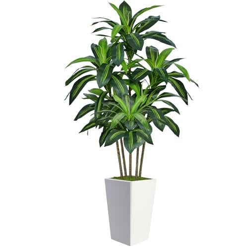 6FT Artificial Dracaena Tree Deal