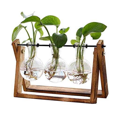 XXXFlower 3-Bulb Vase Plant Terrarium Air Planter w/ Wooden Stand Deal
