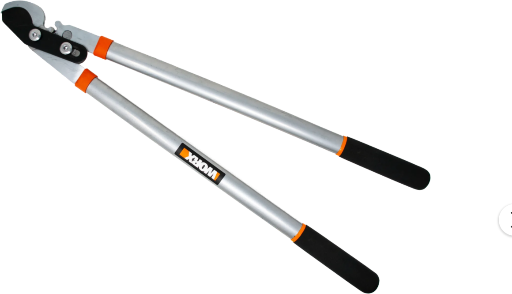 21.5" Worx Bypass Lopper WG030 Deal
