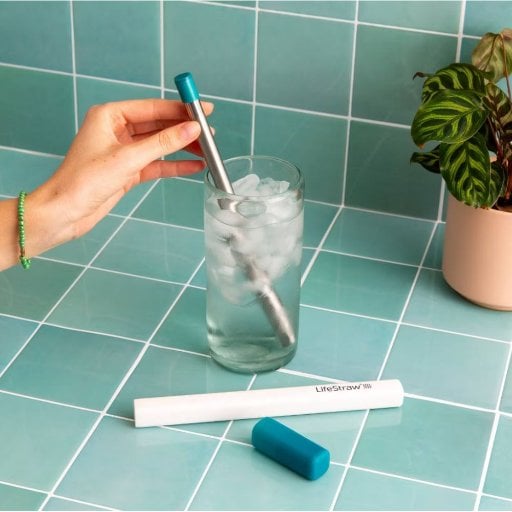 LifeStraw Sip Reusable Steel Filter Straw with Carrying Case