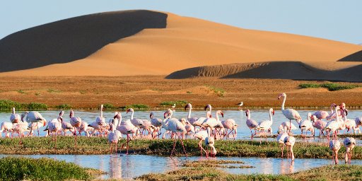 Roundtrip Luxury Cape Town Cruise Package for 14 Nights