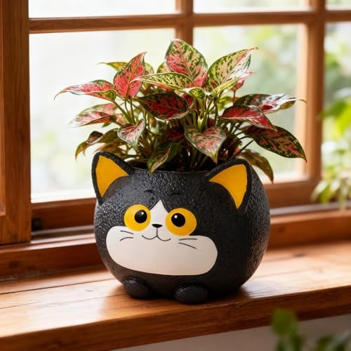 Black Cat Planter Deal