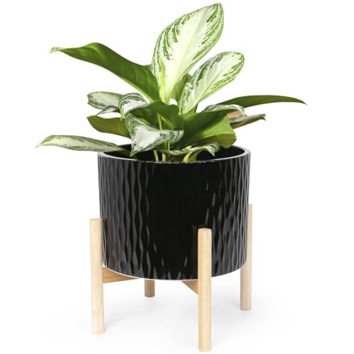 LaDoVita Ceramic Plant Pot with Stand 10" Deal