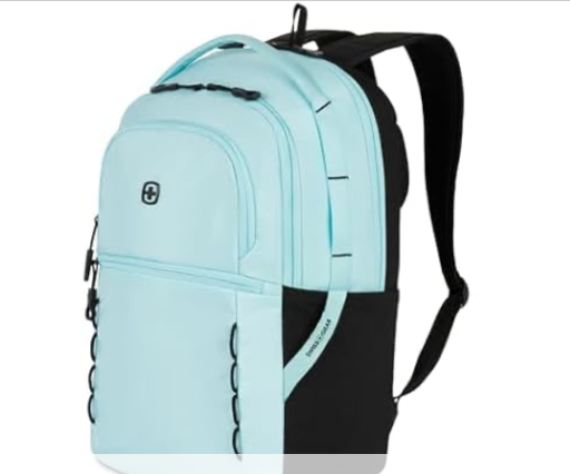 SwissGear Versa 17.75" Laptop Backpack (Clear Sky) Deal