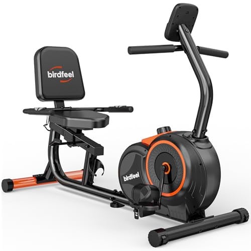 Recumbent Exercise Bike with 380lb Capacity Deal