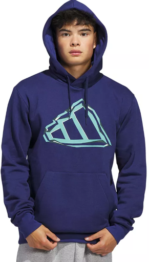 adidas Graphic Big Logo Hoodie