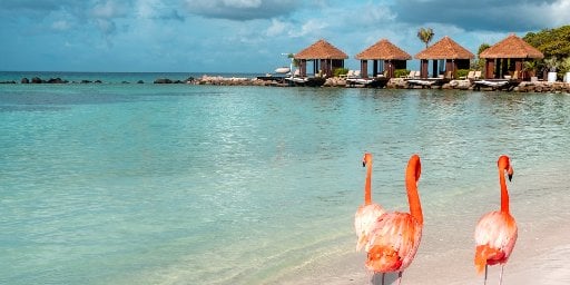 Luxe Caribbean 14-Night Cruise Package from Miami