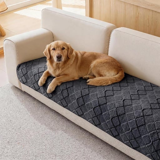 Washable Dog Sofa Cover Deal