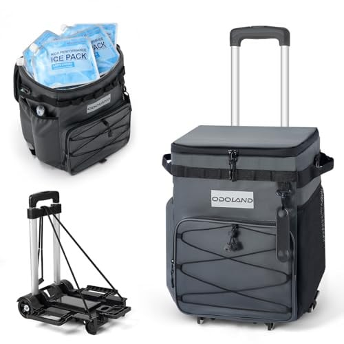 Odoland 3-in-1 Collapsible Insulated Small + Large Cooler Bag System w/ Removable Dolly Deal