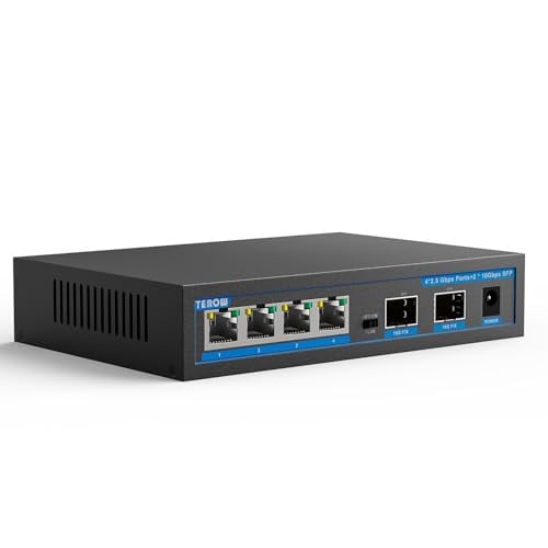TEROW 6-Port Unmanaged Ethernet Switch (4x 2.5G Base-T + 2x 10G SFP)