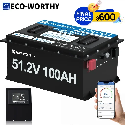 ECO-WORTHY 48V 100Ah LiFePO4 Golf Cart Battery w/ Bluetooth Monitor