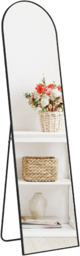 CONCETTA 59"x16" Arched Full Length Mirror