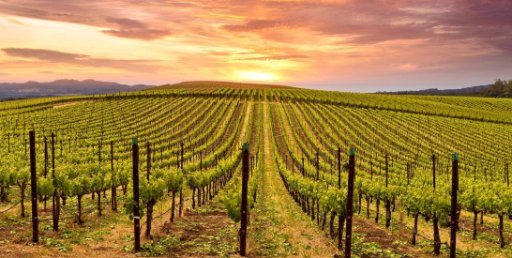 Napa Valley Marriott Hotel & Spa 2+ Night Stay for 2 People