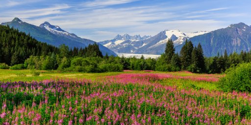 10-Night Alaska Cruise from Seattle