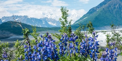 Luxurious 11-Night Alaska Cruise, Vancouver to Seattle Deal