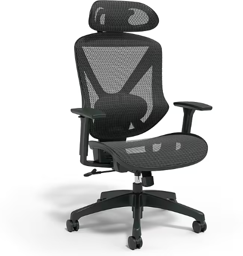 Staples Dexley Ergonomic Mesh Swivel Task Chair Deal