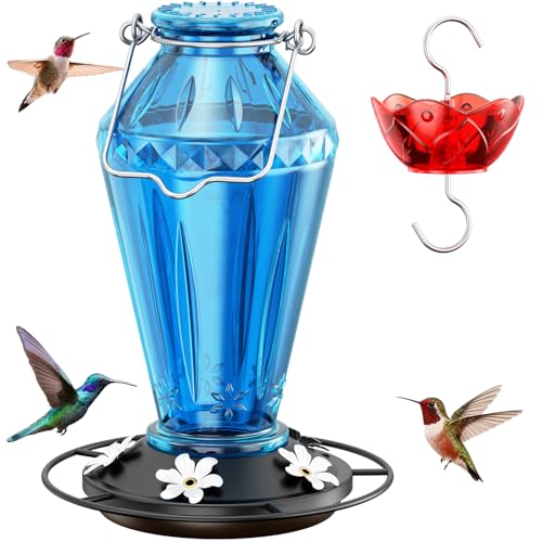 Birdream 25 oz Glass Hummingbird Feeder with Metal Base Deal
