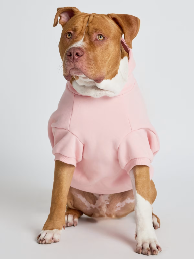 COMFRT Pastel Paw Hoodie