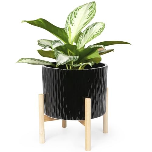 LaDoVita Ceramic Plant Pot with Stand, 10 Inch, Black Water Ripple Pattern Deal