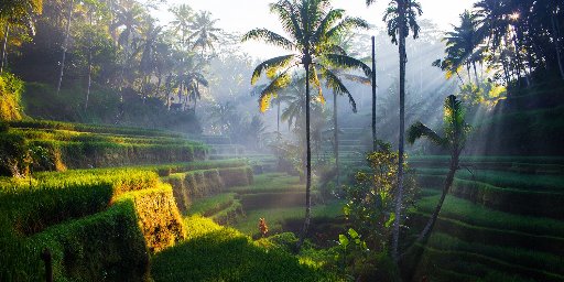 Two Weeks in Southeast Asia, incl. Bali w. International Flights