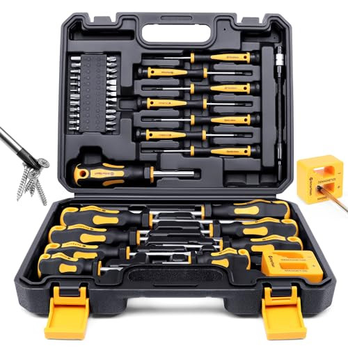 Amartisan 43-piece Screwdriver Set with Case