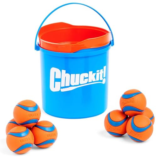 8-Pack Chuckit Ultra Ball Dog Toy, Medium (2.5" Diameter) w/ Cleaning Bucket