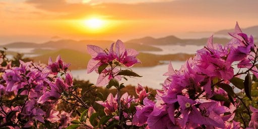 14-Day New York to Miami Luxury Caribbean Cruise Package Deal