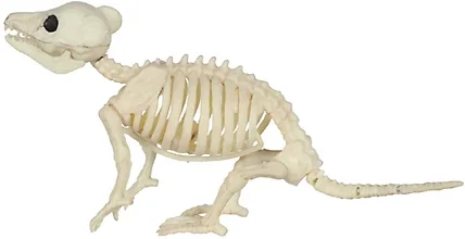 Red Shed 5-inch Baby Opossum Skeleton Halloween Decoration Deal