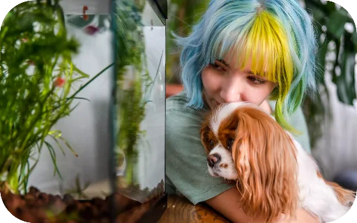 Spend $50 on Fish/Supplies/Aquarium Needs, Earn $15 in Points