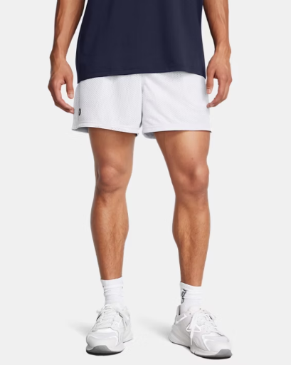 Under Armour Men's 5" UA Icon Mesh Shorts (Heather Gray / White)