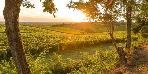 Weeklong River Cruise from Bordeaux