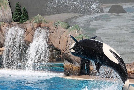 SeaWorld & Busch Gardens 2026 Annual Pass