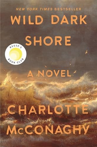 Wild Dark Shore: Reese's Book Club Pick (A Novel)